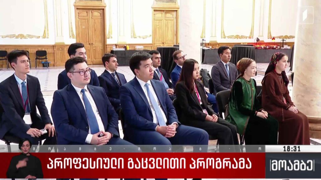 პროფესიული გაცვლითი პროგრამა