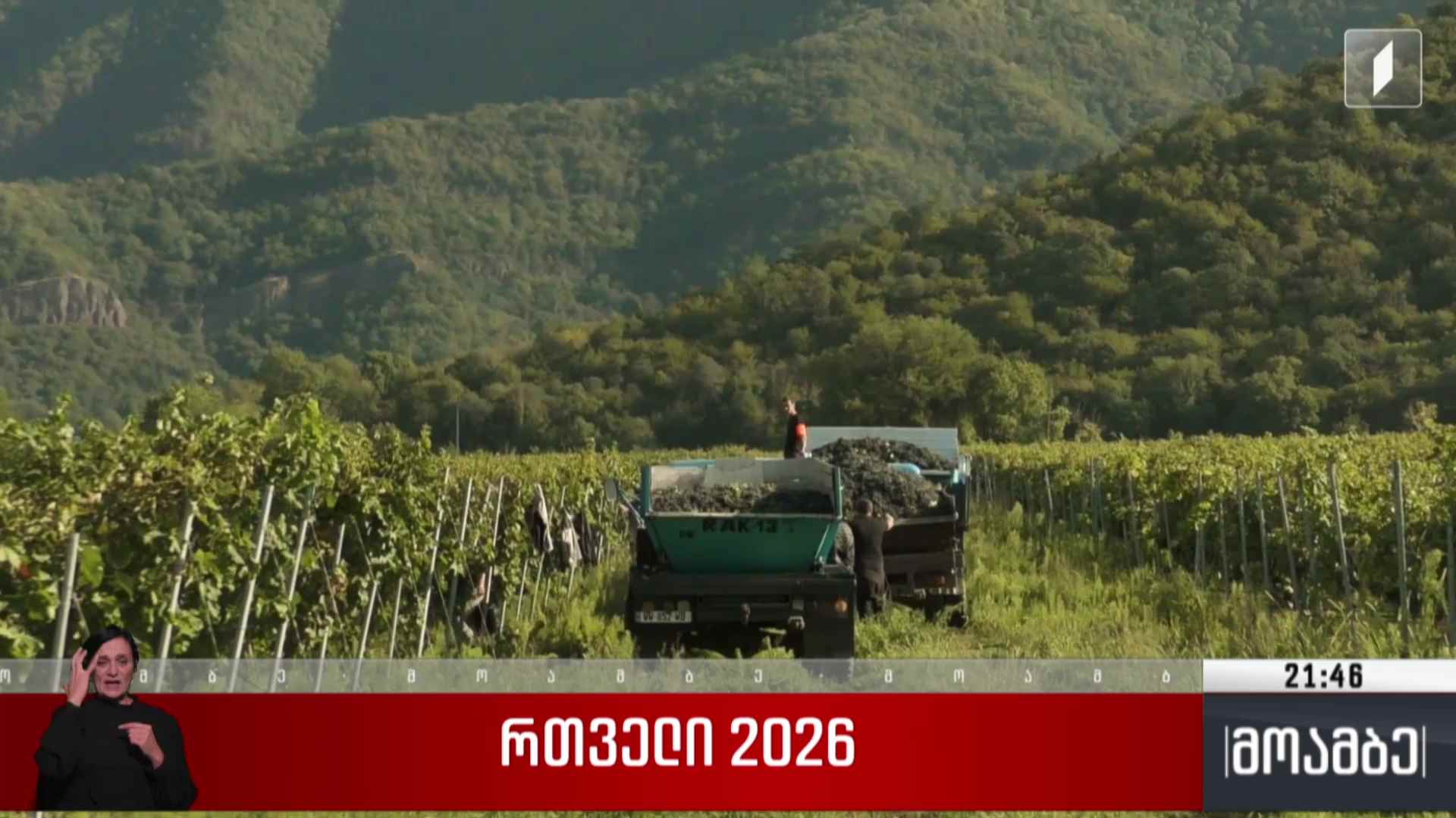 რთველი 2026 
