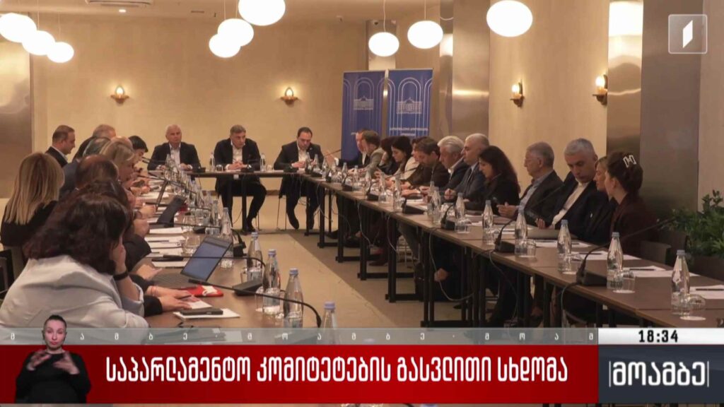 საპარლამენტო კომიტეტების გასვლითი სხდომა