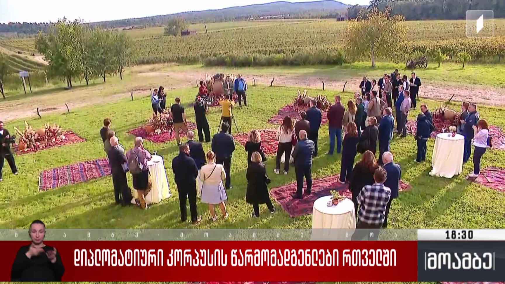 დიპლომატიური კორპუსის წარმომადგენლები რთველში