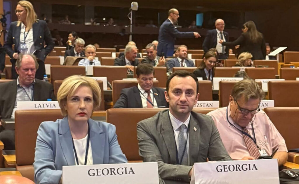 ეკა სეფაშვილი – ქვეყნებს შორის დიალოგის აუცილებლობა და ორმაგი სტანდარტების თავიდან აცილება არის ის გზა, რომელიც უზრუნველყოფს სტაბილურობასა და უსაფრთხოებას