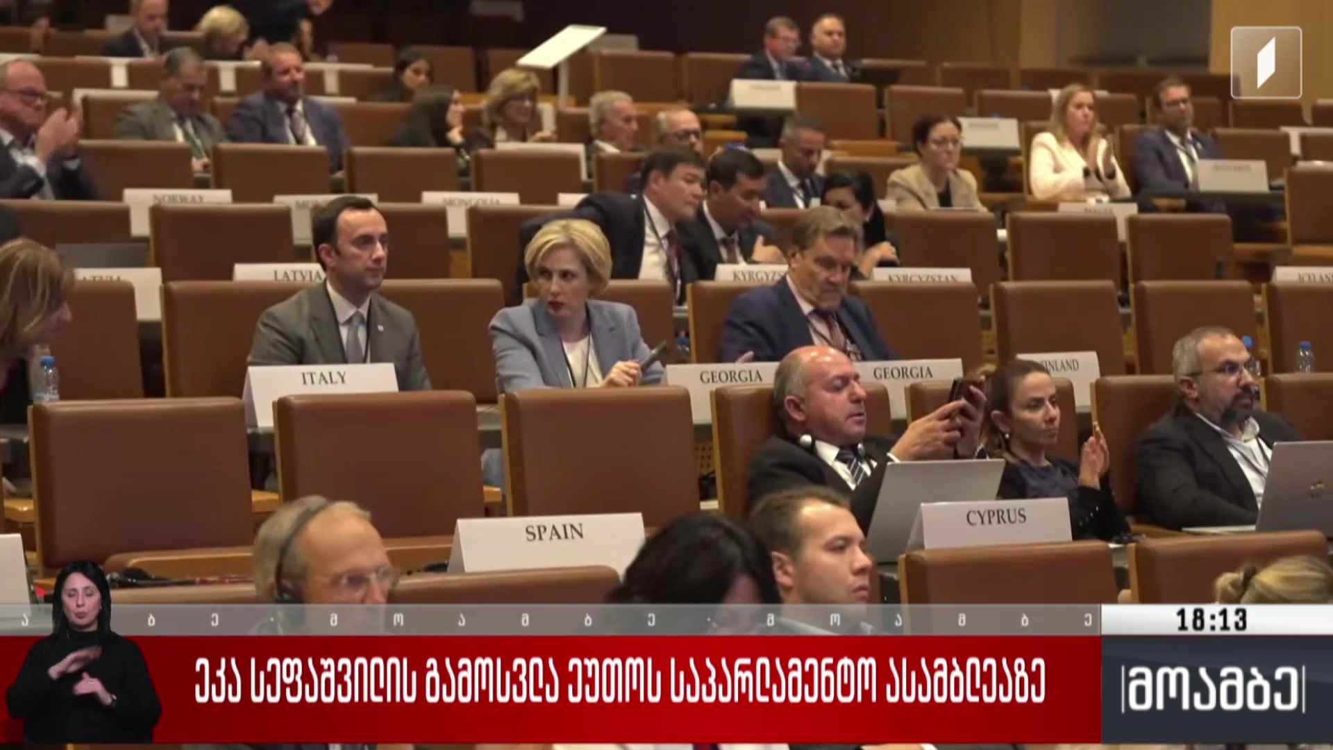 ეკა სეფაშვილის გამოსვლა ეუთო-ს საპარლამენტო ასამბლეაზე