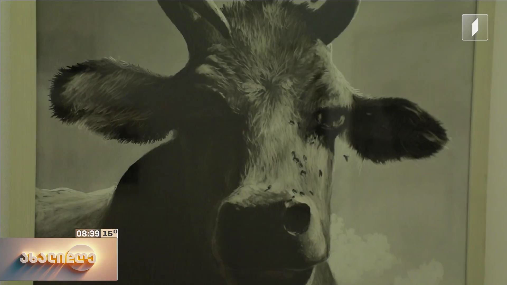 გიორგი გაწერელიას ნამუშევრების გამოფენა გალერეა „ვანდაში“