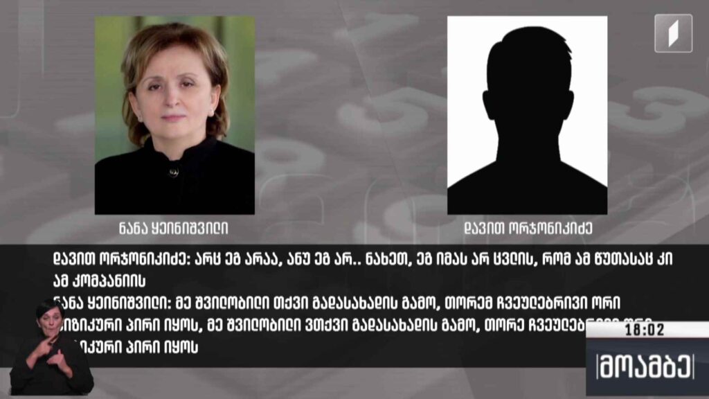 გამოძიება ნანა ყეინიშვილის წინააღმდეგ