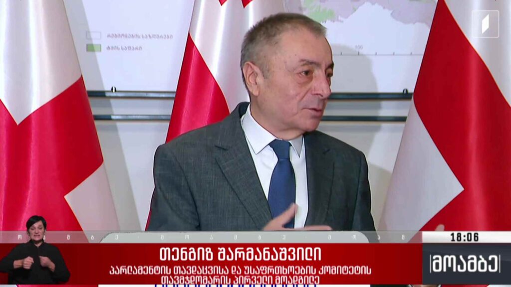 გამოძიება ნანა ყეინიშვილის წინააღმდეგ – შეფასებები