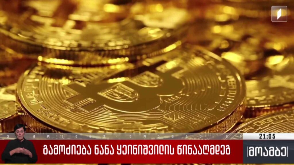 გამოძიება ნანა ყეინიშვილის წინააღმდეგ