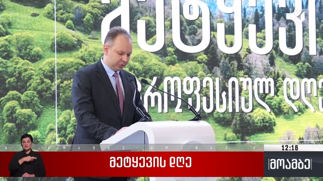 მეტყევის დღე