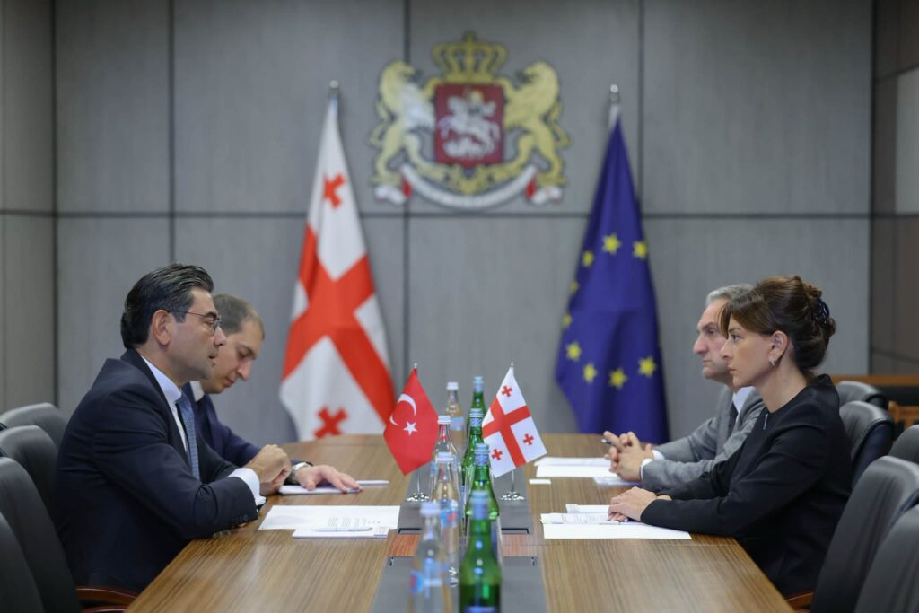 მაია ბითაძე საქართველოში თურქეთის ელჩს, მუსტაფა თურქერ არის შეხვდა