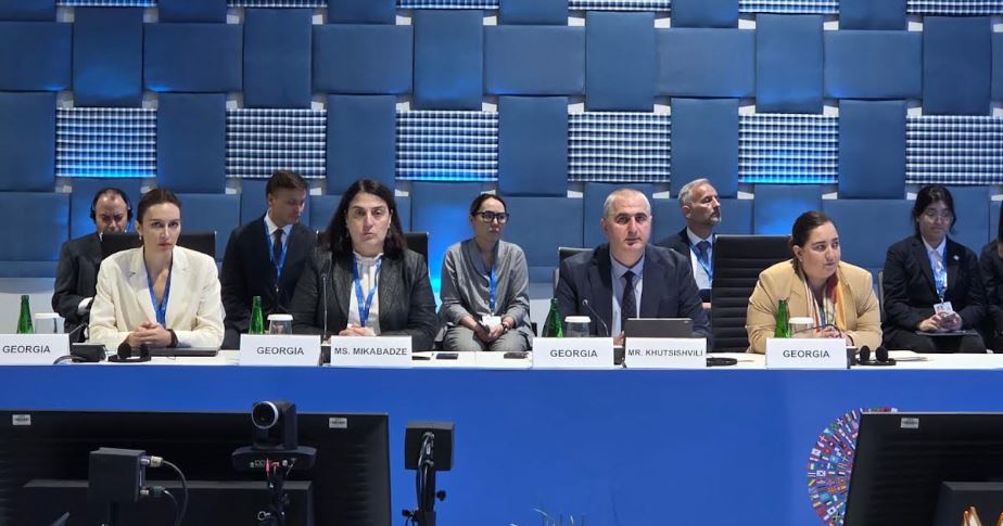 ლაშა ხუციშვილმა, მრგვალი მაგიდის ფორმატში, მონაწილეობა მიიღო კავკასიისა და ცენტრალური აზიის რეგიონის ქვეყნების ფინანსთა მინისტრებისა და ცენტრალური ბანკების ხელმძღვანელთა შეხვედრაში