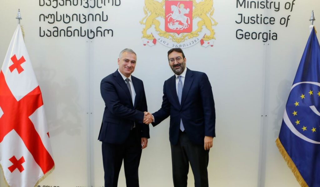 პაატა სალიამ ევროპის საბჭოს დელეგაციას უმასპინძლა