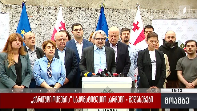„ქართული ოცნების“ საკონსტიტუციო სარჩელი – შეფასებები