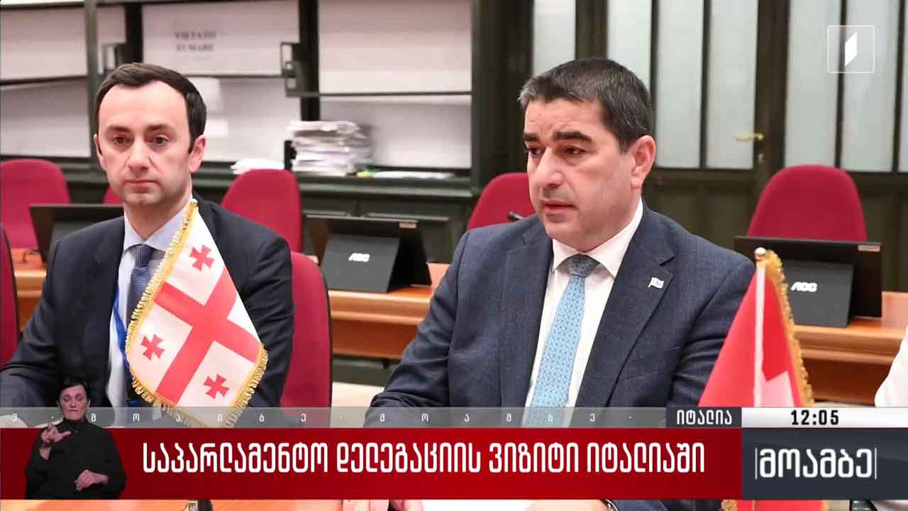 საპარლამენტო დელეგაციის ვიზიტი იტალიაში