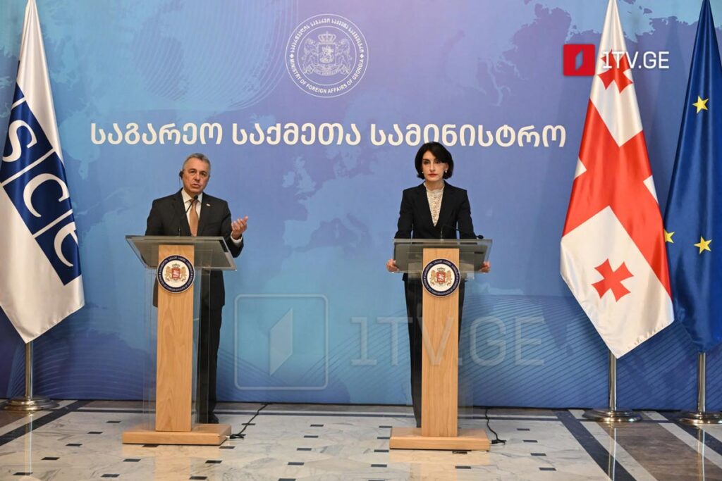 მაკა ბოჭორიშვილი – საერთაშორისო ორგანიზაციების ინსტრუმენტად გამოყენებას უნდა მოერიდოს ყველა, ეს არის მნიშვნელოვანი ჩარჩო, რომელიც შექმნილია დიალოგისთვის, საერთო პრინციპების დასაცავად