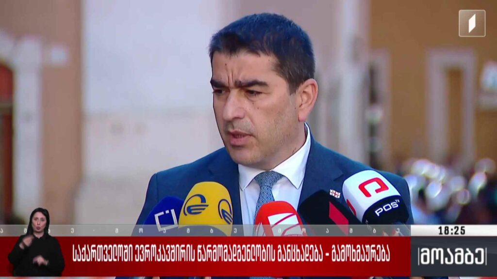 საქართველოში ევროკავშირის წარმომადგენლობის განცხადება – გამოხმაურება