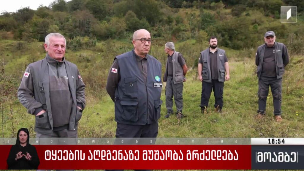 ტყეების აღდგენაზე მუშაობა გრძელდება