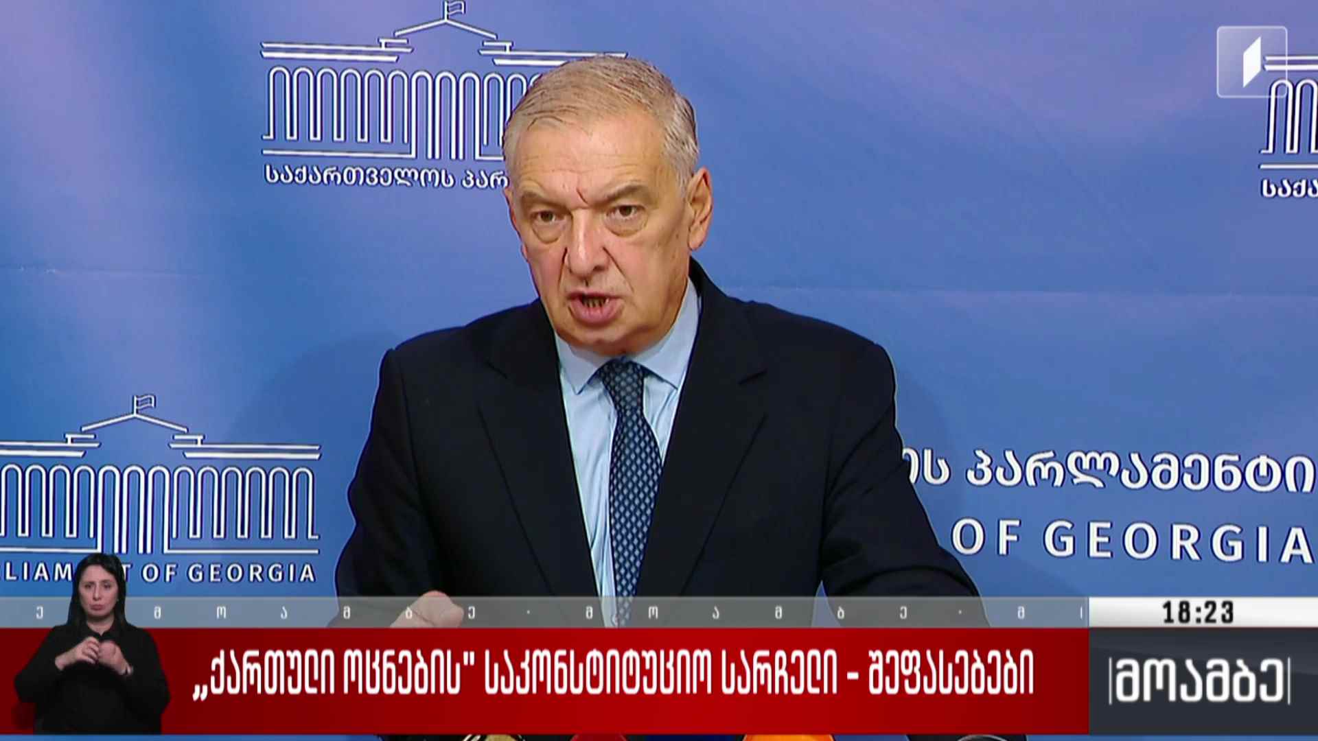 „ქართული ოცნების“ საკონსტიტუციო სარჩელი – შეფასებები