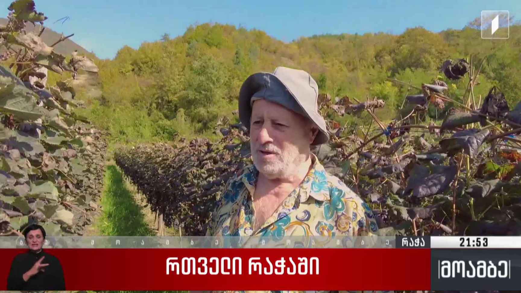 რთველი რაჭაში