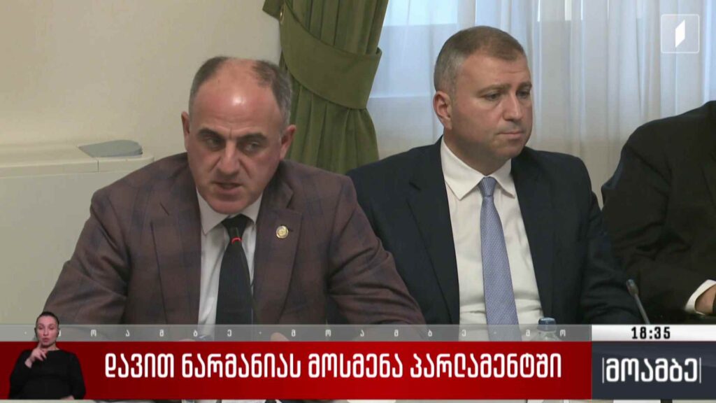 დავით ნარმანიას მოსმენა პარლამენტში