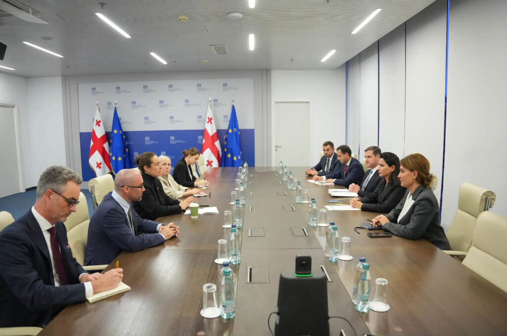 მარიამ ქვრივიშვილი აშშ-ის საერთაშორისო განვითარების საფინანსო კორპორაციის პოლიტიკის მიმართულების ხელმძღვანელს, ქეროლაინ ვიკს შეხვდა