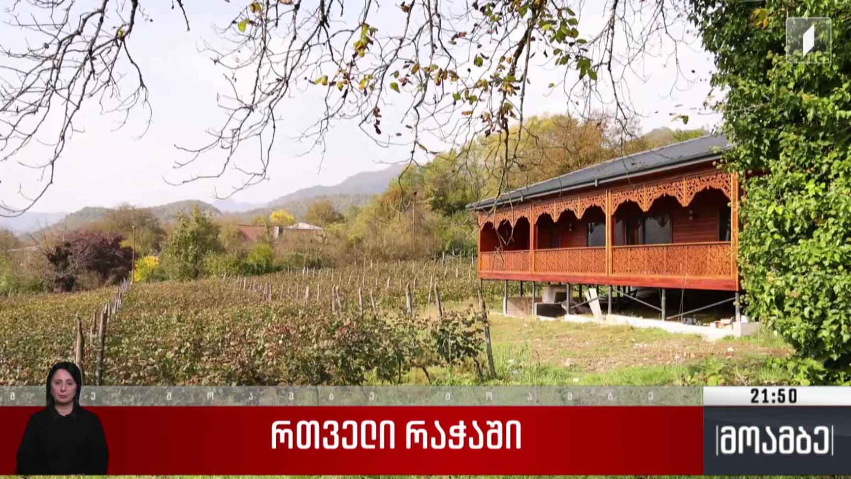 რთველი რაჭაში