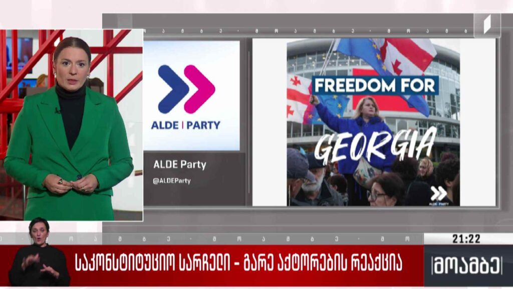 საკონსტიტუციო სარჩელი – გარე აქტორების რეაქცია