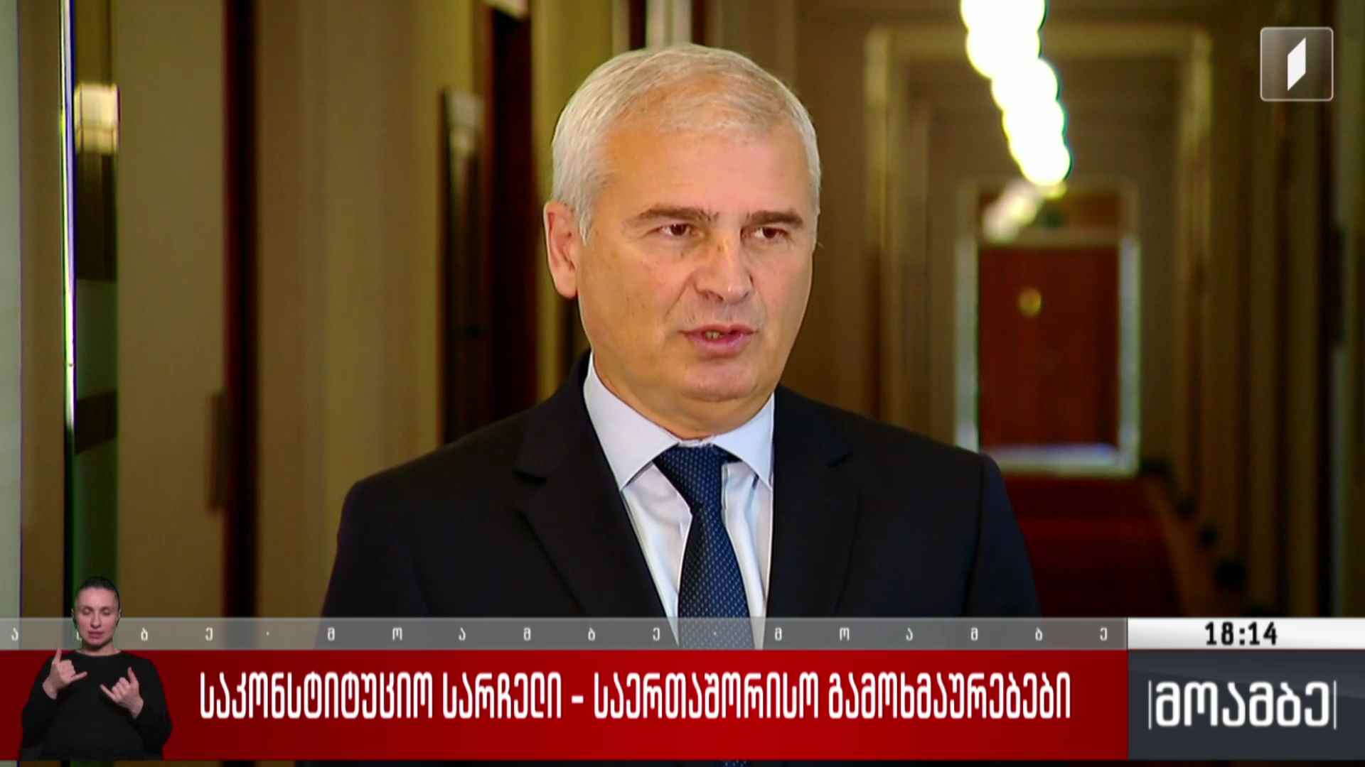 საკონსტიტუციო სარჩელი – საერთაშორისო გამოხმაურებები