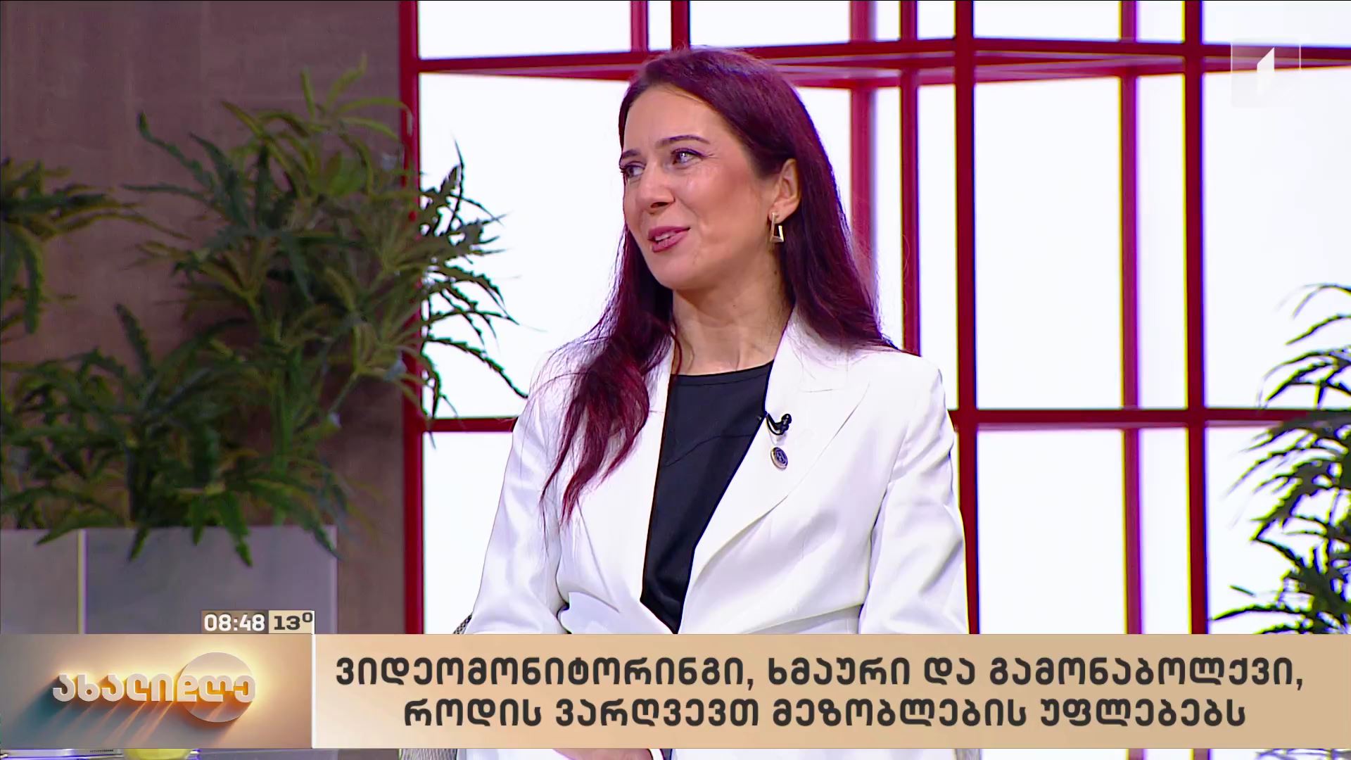 ვიდეომონიტორინგი, ხმაური და გამონაბოლქვი - როდის ვარღვევთ მეზობლების უფლებებს