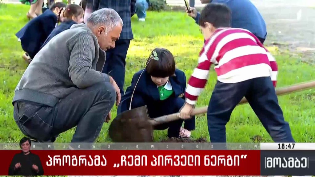 პროგრამა „ჩემი პირველი ნერგი“