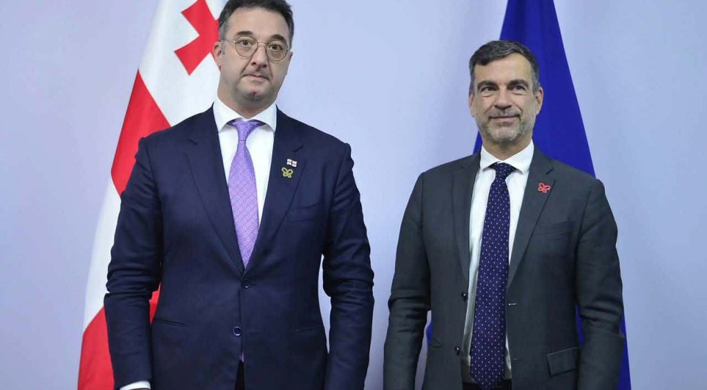 დავით სონღულაშვილი ერევანში, ევროპის საბჭოსა და ბერნის კონვენციის წარმომადგენლებს შეხვდა