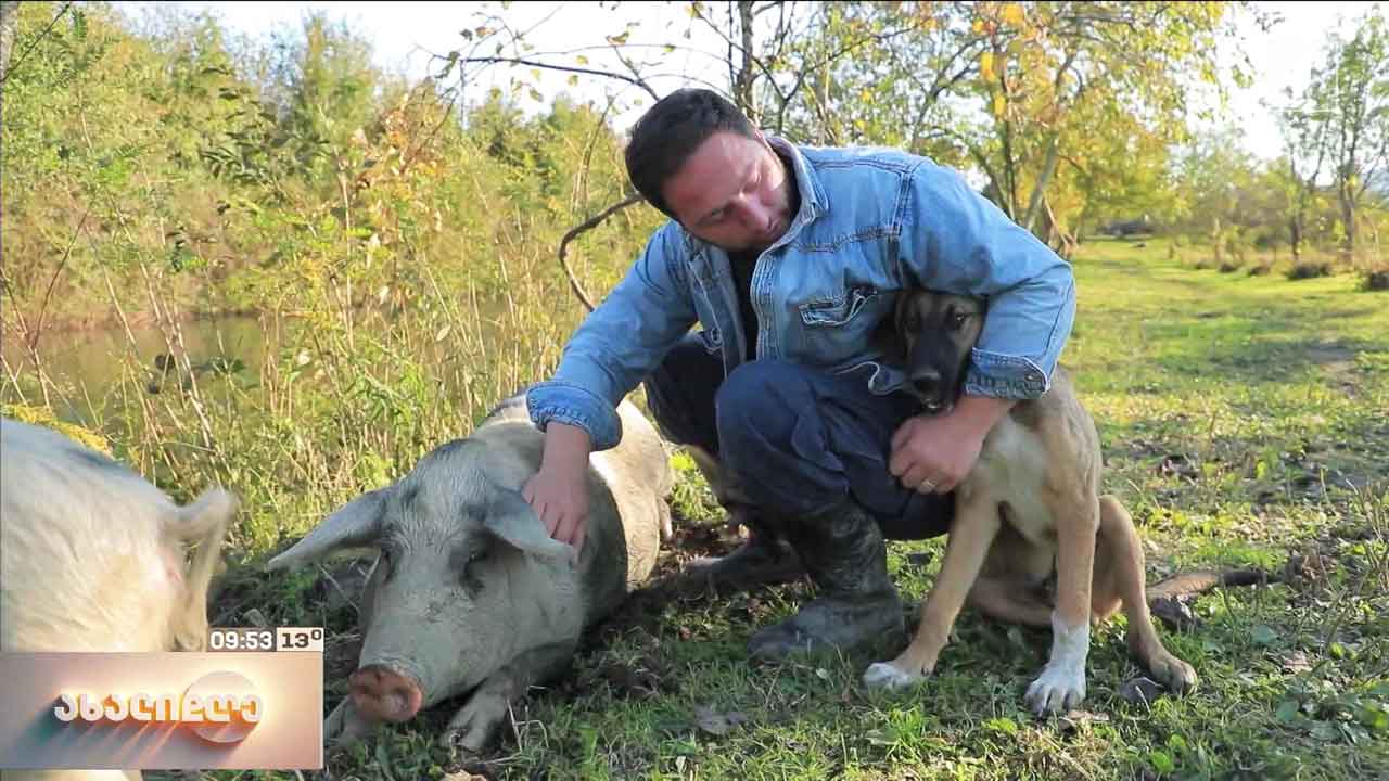 ახალგაზრდა ფერმერი, კორნელი ჭყონია ლანჩხუთიდან