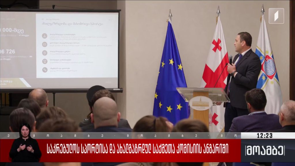 საკრებულოს სპორტისა და ახალგაზრდულ საქმეთა კომისიის ანგარიში
