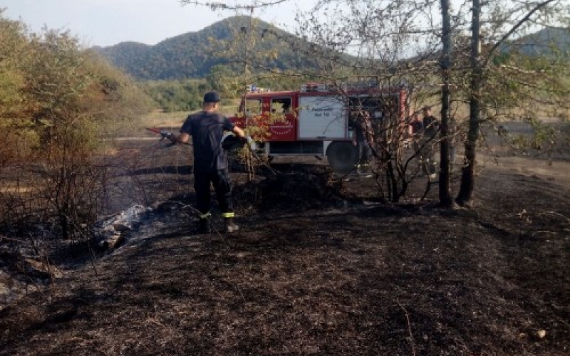 В Артана с пожаром борются 500 пожарников-спасателей