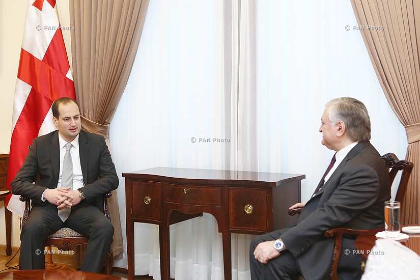 Налбандян и Джанелидзе обсудили вопросы двустороннего сотрудничества