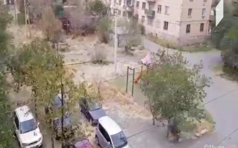Сильный ветер в Рустави повредил крыши жилых домов (видео)