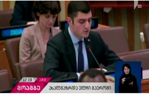 Посол молодежи в ООН от Грузии выступил на заседании комитета