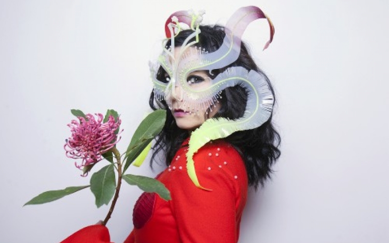 Еицырдыруa ислaндиaтәи aмузыкaнт Björk Қaрҭ дaҭaaит