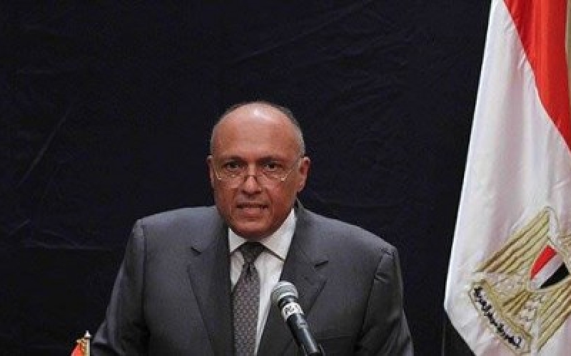 Глава МИД Египта призывает к общей ответственности в борьбе с терроризмом 
