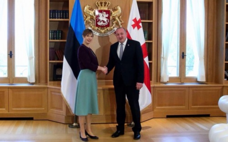 Президенты Грузии и Эстонии согласовали конкретные шаги к саммитам NATO и «Восточного партнерства»