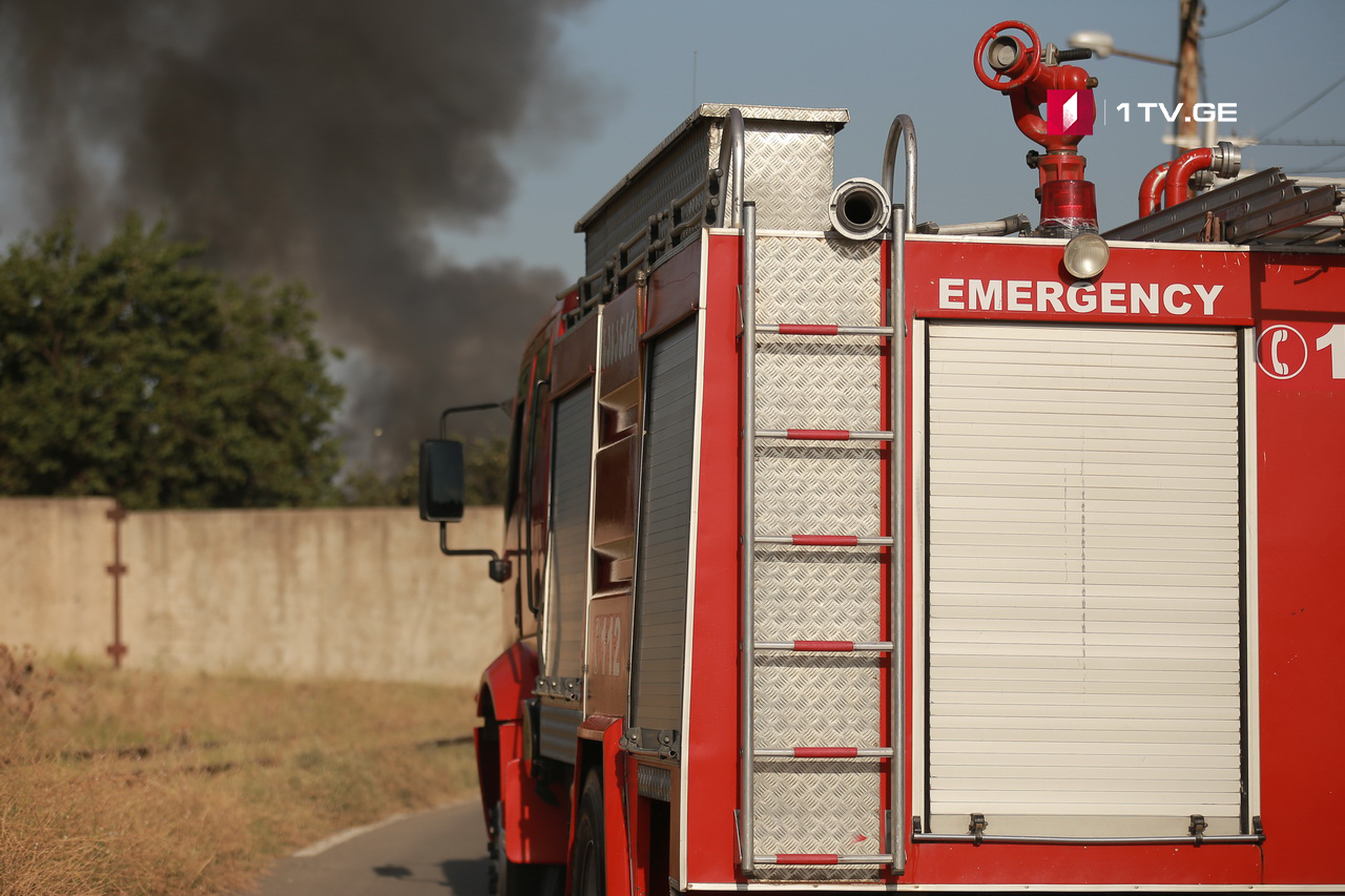 Пожар в лесном массиве в Болниси, у села Дарбази