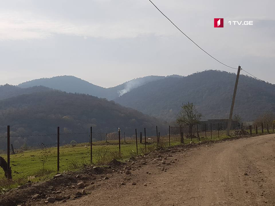 Bolnisidə, Darbazi kəndinin yaxınlığındaki meşə massivində baş verən yanğın lokalizasiya edilib