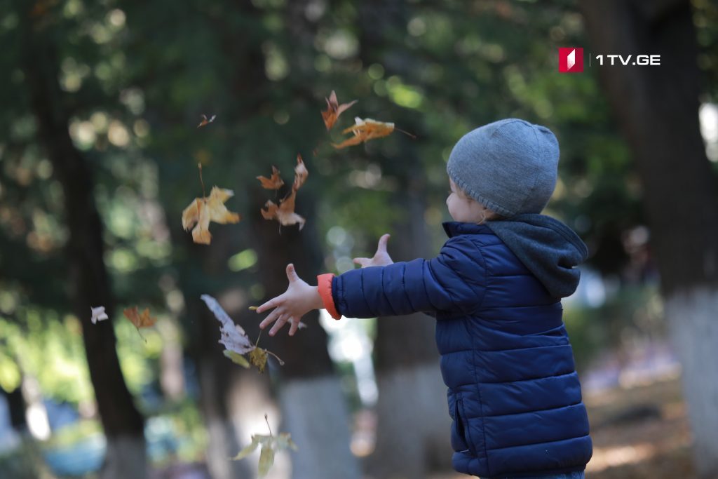 Осенний Тбилиси - фотоколлаж