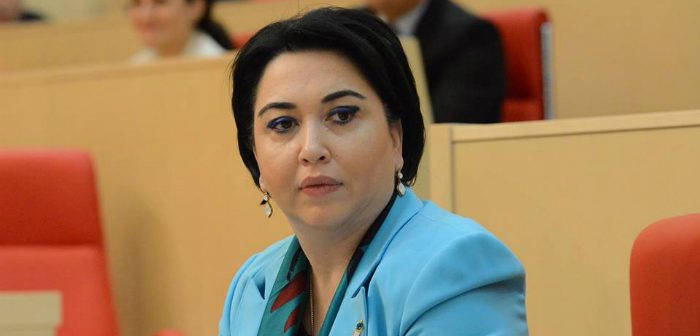 Eka Beselia - Conclusions on amendments proposed to be made into Law on Broadcasting are positive