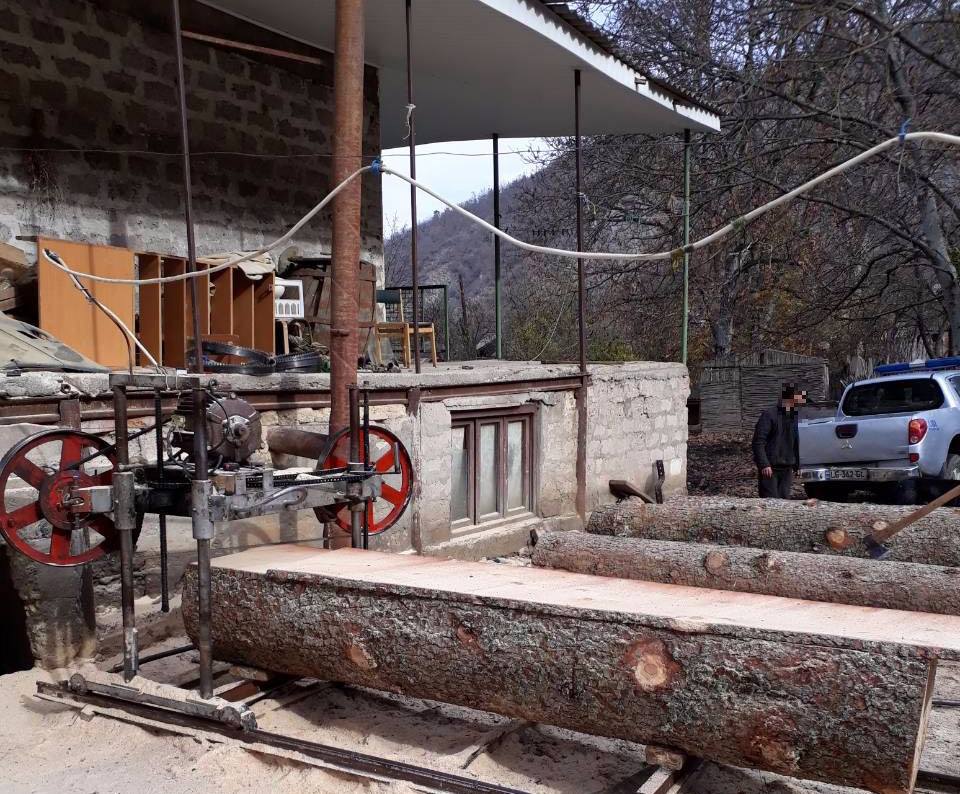 Twelve illegal wood mills discovered in Borjomi Municipality
