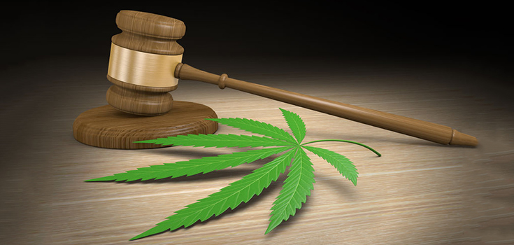 Декриминализация марихуаны – что меняется после решения Конституционного суда