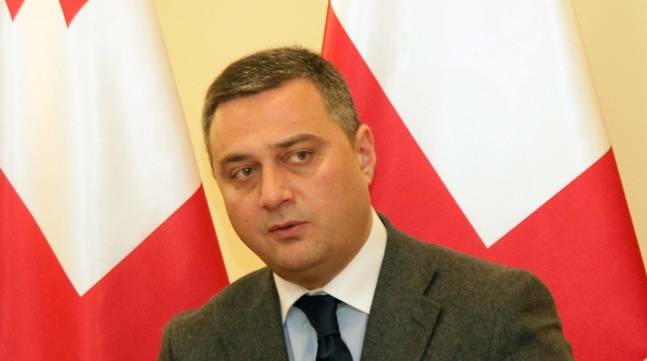 Виктор Долидзе возглавит представительство Грузии в международных структурах в Женеве