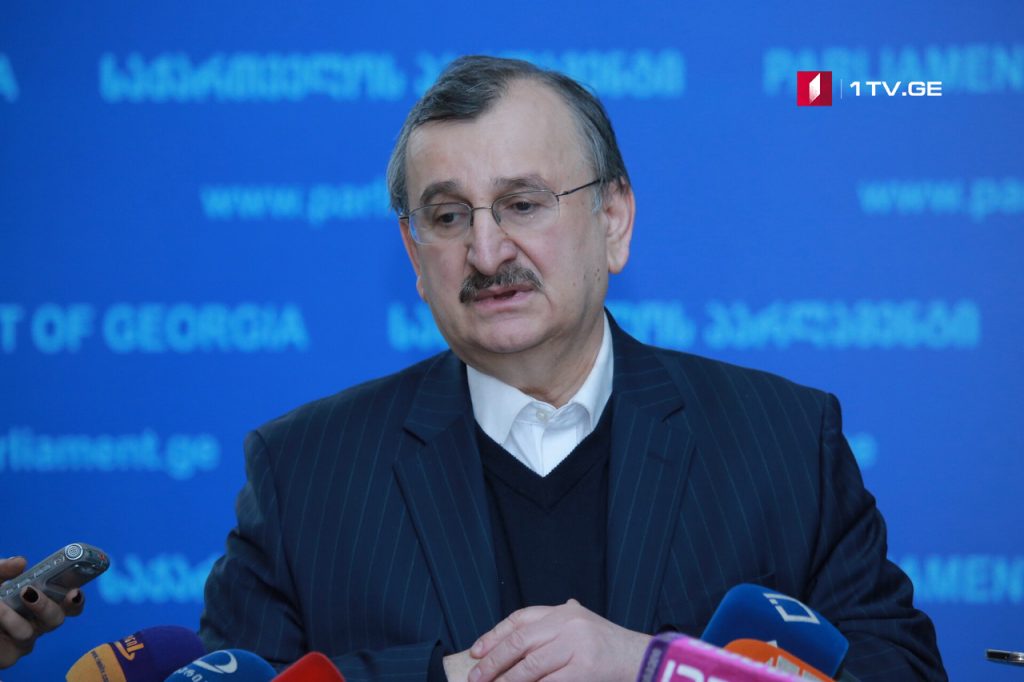 Roman Gotsiridze criticizes parliamentary majority