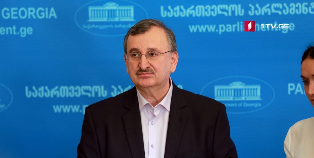 Roman Gotsiridze: PM should not have expectation that we will support his government