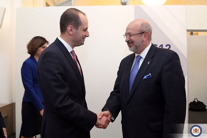 Михаил Джанелидзе встретился с Верховным комиссаром ОБСЕ по делам национальных меньшинств Ламберто Заньером