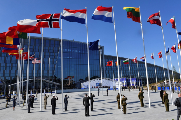 NATO published New Year greeting video