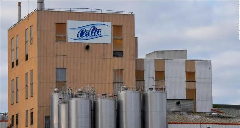 Представители «Лакталис» - В молочной смеси бренда «Сеlia» продающейся на грузинском рынке , бактерия не обнаружена